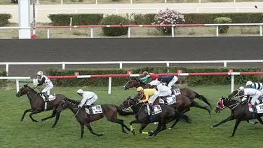 97. Gazi Koşusu ne zaman, saat kaçta başlayacak? 97. Gazi Koşusu'na katılacak atlar belli oldu