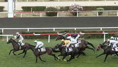 97. Gazi Koşusu ne zaman, saat kaçta başlayacak? 97. Gazi Koşusu'na katılacak atlar belli oldu