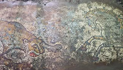 Mardin'de tarihi eser operasyonu: Yaklaşık 1500 yıllık mozaik bulundu