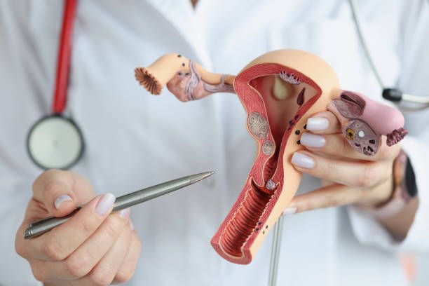 Vulva nedir? Vulva kanseri nedir ve neden olur? Vulva kanseri belirtileri ve tedavi yöntemleri nelerdir?