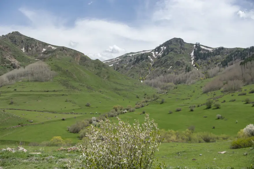 Erzurum'un ilçeleri ilkbahar güzelliğiyle fotoğraf tutkunlarını ağırlıyor 7