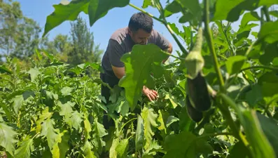Baba mesleğini bıraktı: 25 yıldır toprağa emek veriyor