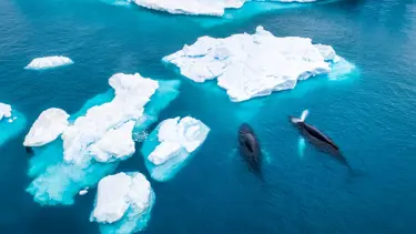 Araştırma: Buzul erimesi Dünya'nın dönüş hızını azalttı