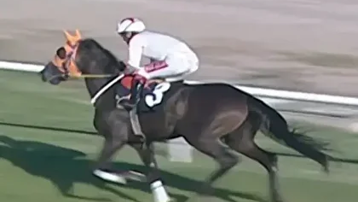 Kavurma yapılan at İngiliz basınında. Sahibi de duruma üzgün 