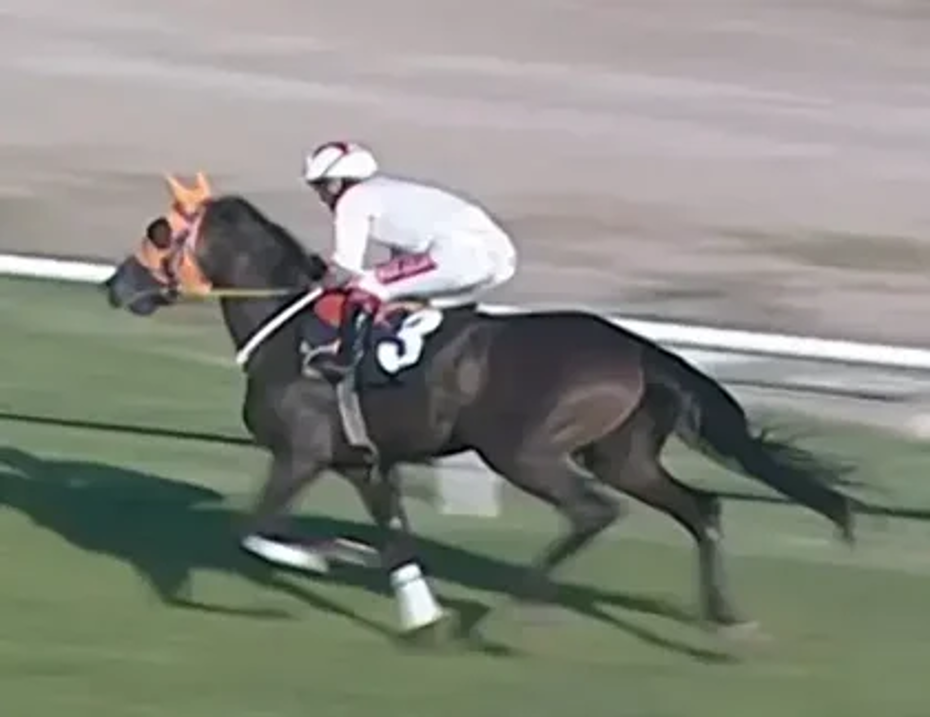 Kavurma yapılan at İngiliz basınında. Sahibi de duruma üzgün 