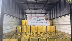 Sahte zeytinyağı operasyonu: 200 teneke ele geçirildi