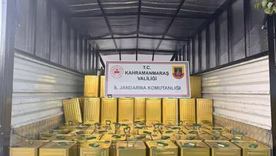 Sahte zeytinyağı operasyonu: 200 teneke ele geçirildi