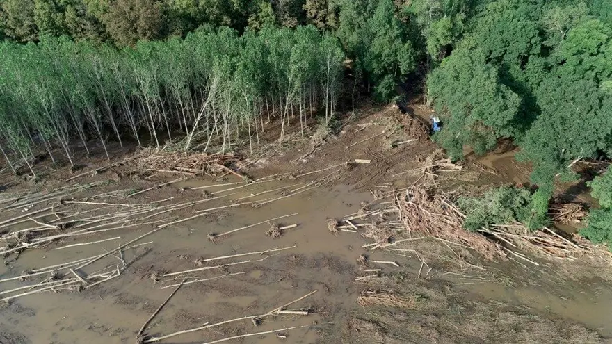 "KAÇARSAM ŞİRKETLERİM BATAR" 7