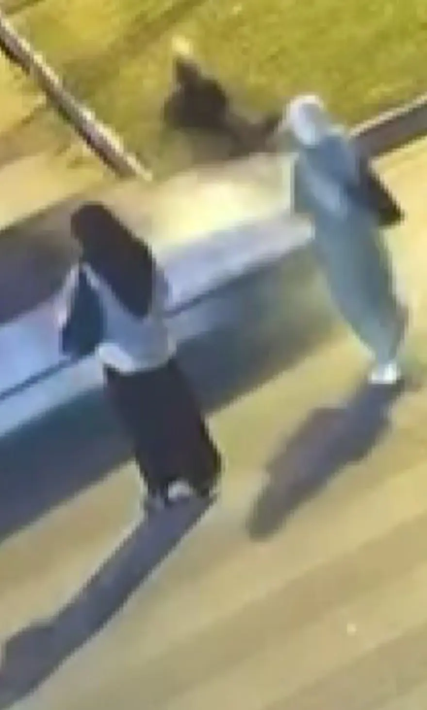 Yaya geçidinde feci ölüm 5