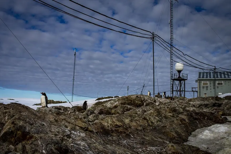antarktika, en iyi kış fotoğrafları, antarktika fotoğrafları, anktarktika'da hayat, antarktika manzaları, kuzey kutup bölgesi, türkiye antarktika bilim üssü, türkiye antarktika üssü, türkiye 3. ulusal bilim seferi 23