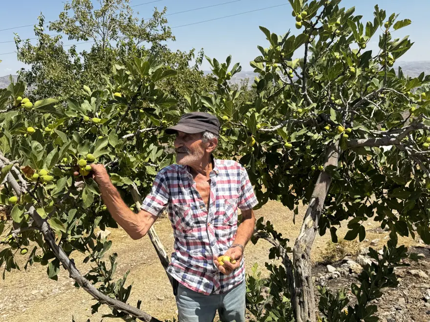 Terörden ve kan davasından 47 önce göçmüşlerdi: Kesin dönüşler başladı 10