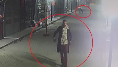 Hatay'da vahşet: 4 kediyi köpeklere parçalattı