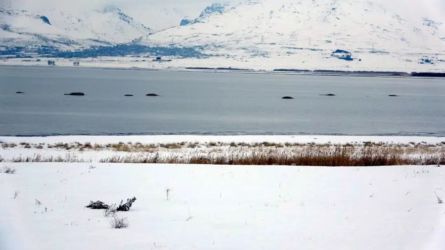 Flamingoların uğrak noktasında adacıklar oluştu 7