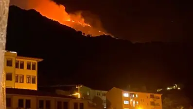 Marmara Adası'nda orman yangını kontrol altında