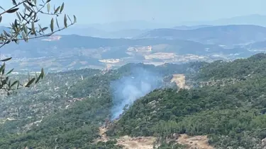 Muğla’da orman yangını: Havadan ve karadan müdahaleyle söndürüldü