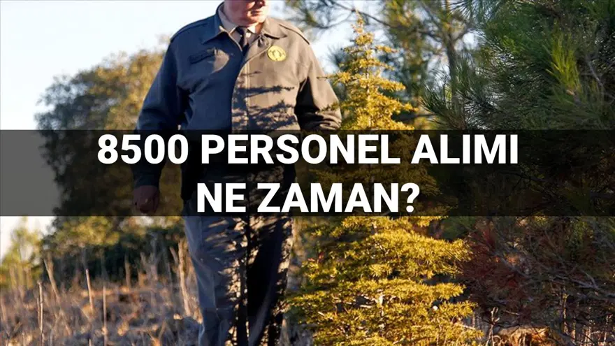 Tarım ve Orman Bakanlığı 8500 personel alımı ne zaman, şartlar neler? (2025 Tarım ve Orman Bakanlığı personel alımı tarihleri) Tarım ve Orman Bakanlığı 8500 personel alımı ne zaman, şartlar neler? (2025 Tarım ve Orman Bakanlığı personel alımı tarihleri)