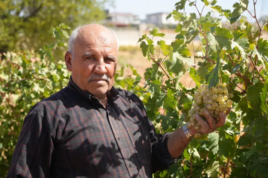 Üreticilere örnek oldu: Baba ve oğul yıllarca emek vererek kurdu Üreticilere örnek oldu: Baba ve oğul yıllarca emek vererek kurdu