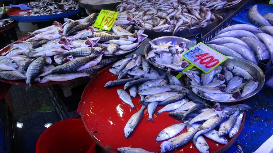 Bolluk azaldı ama tezgahta çeşitlilik sürüyor: Deniz suyu sıcaklığı etkiledi 