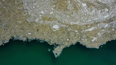 Bursa kıyılarında müsilaj etkisini kaybetti
