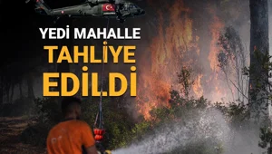İzmir'de orman yangınları kontrol altına alındı İzmir'de orman yangınları kontrol altına alındı