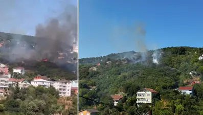 Beykoz'da orman yangını