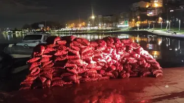 İstanbul'da 3 ton kaçak midye ele geçirildi