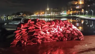 İstanbul'da 3 ton kaçak midye ele geçirildi