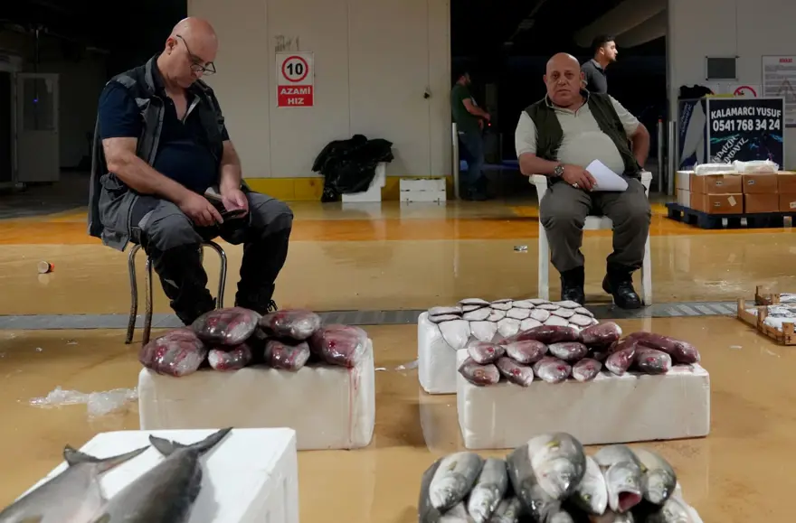 Balıkçıların palamut mutluluğu 4