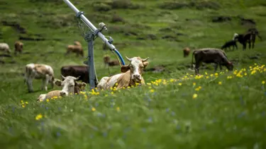 Karların eridiği Palandöken Dağı'ndan eşsiz manzaralar