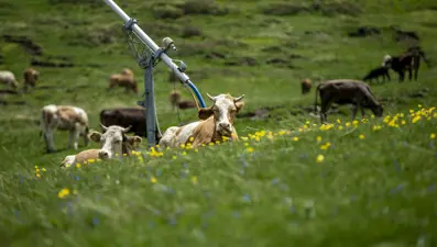 Karların eridiği Palandöken Dağı'ndan eşsiz manzaralar