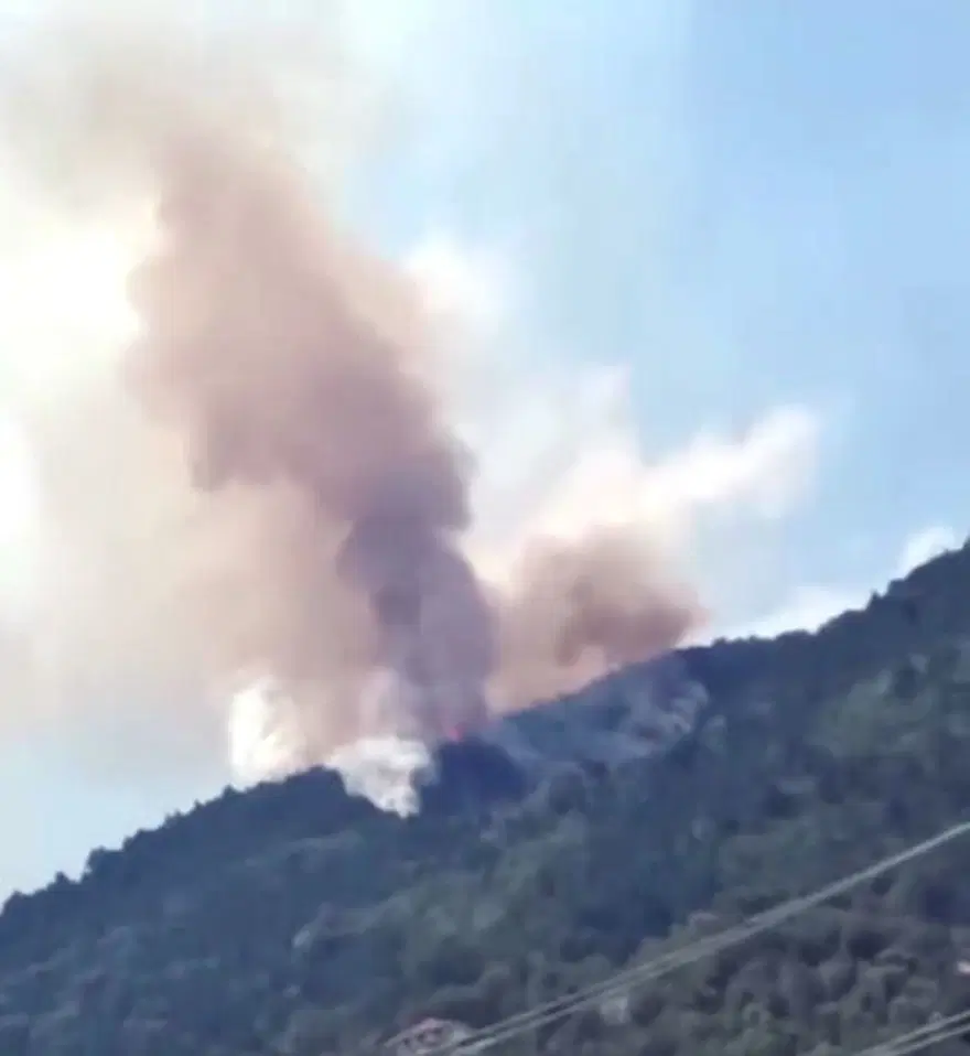 Zonguldak Devrek’teorman yangını Zonguldak Devrek’teorman yangını