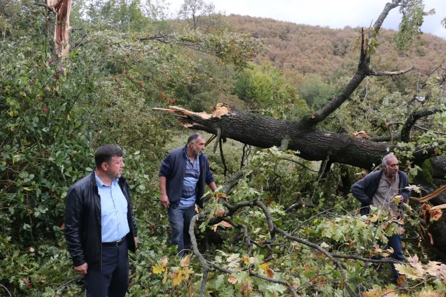 Bolu'da hortum: Ağaçlar devrildi, çatılar uçtu 3