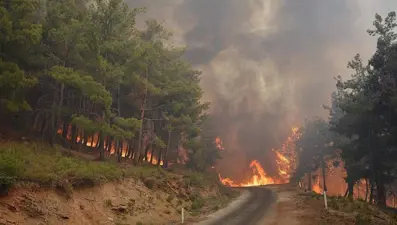 Bilecik ve İzmir afet bölgesi ilan edildi