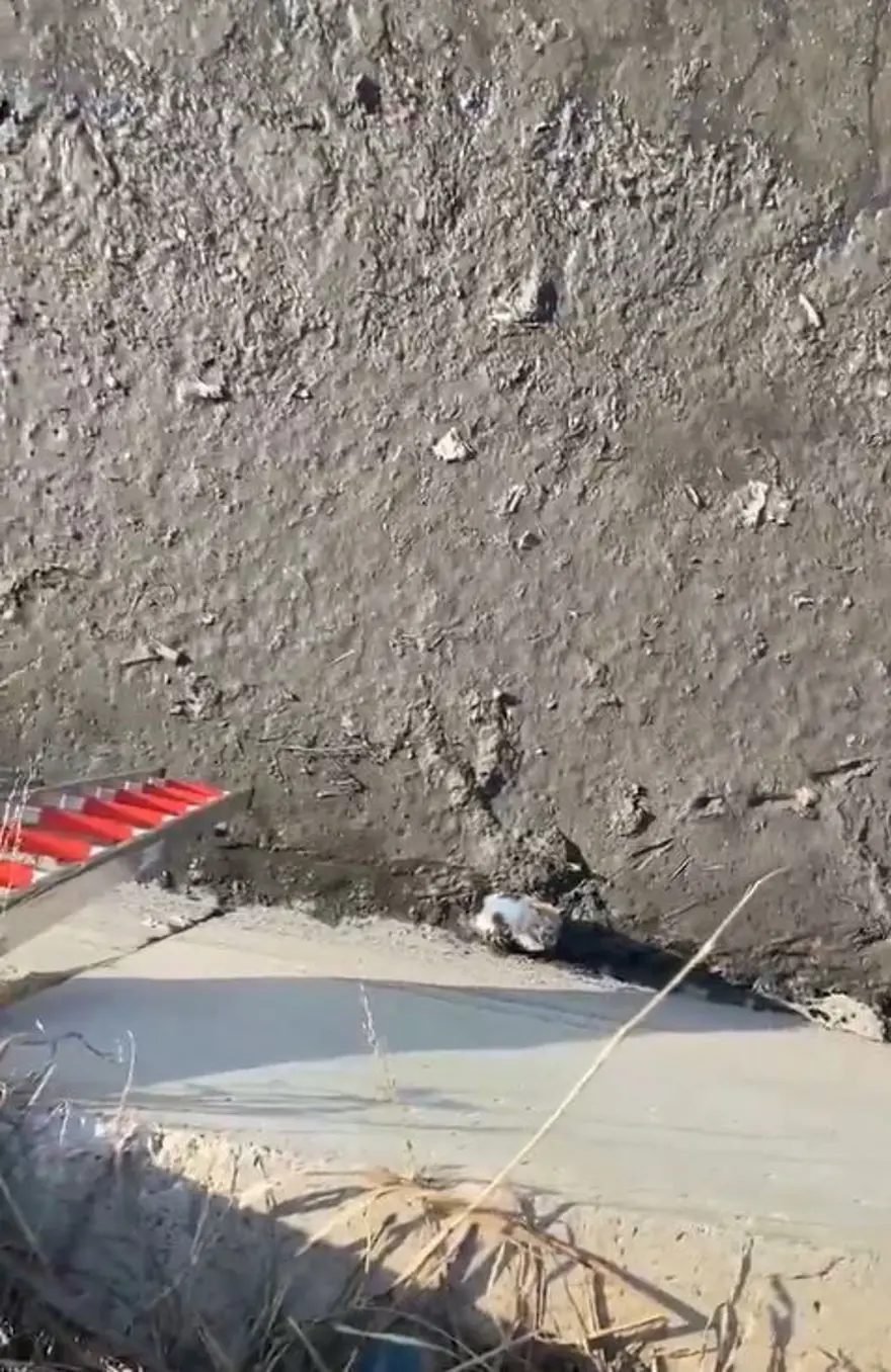 Dereye düşerek çamura saplanan kediyi itfaiye kurtardı 1