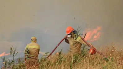 Yangınların yüzde 57’si orman dışı alanlarda başladı