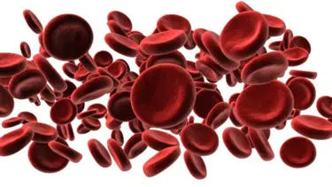 Prostat kanseri yapan gen mutasyonu