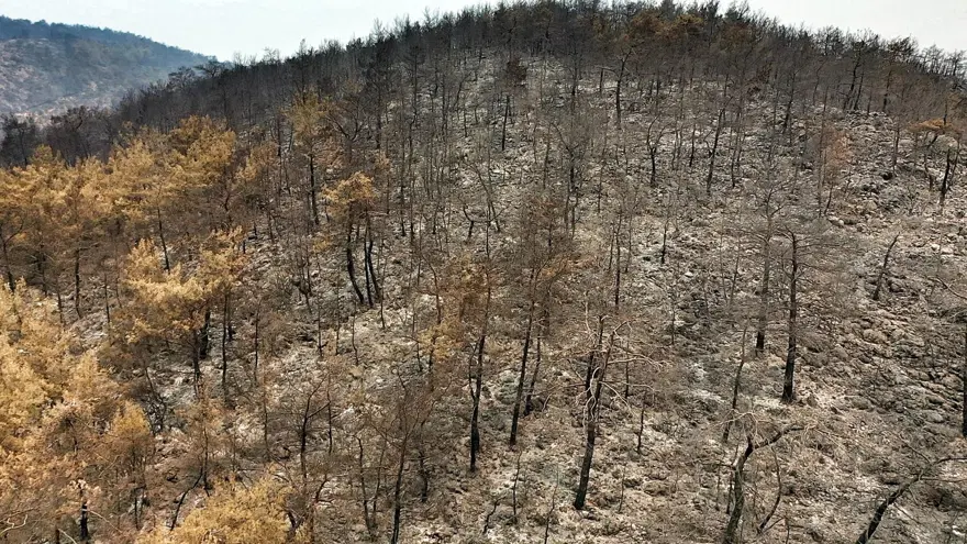 Bodrum ve Milas'ta yanan alanlar havadan görüntülendi 31 Bodrum ve Milas'ta yanan alanlar havadan görüntülendi 31