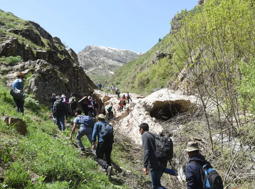 ters lale,sümbül dağı, hakkari ters lale, sütçüler tepesi, cilo doğa sporları kulübü 3