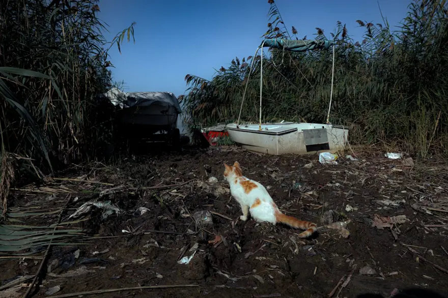 Sapanca Gölü'nde korkutan görüntü: Metrelerce çekildi 4