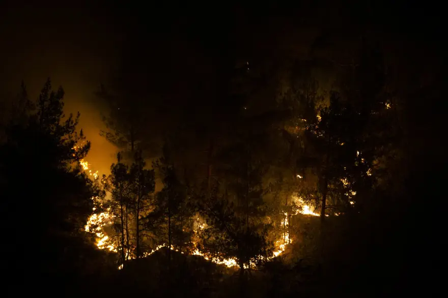 BİR KİŞİ GÖZALTINA ALINDI 13