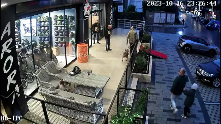 Avcılar'da pitbullu bıçaklı saldırgana gözaltı 