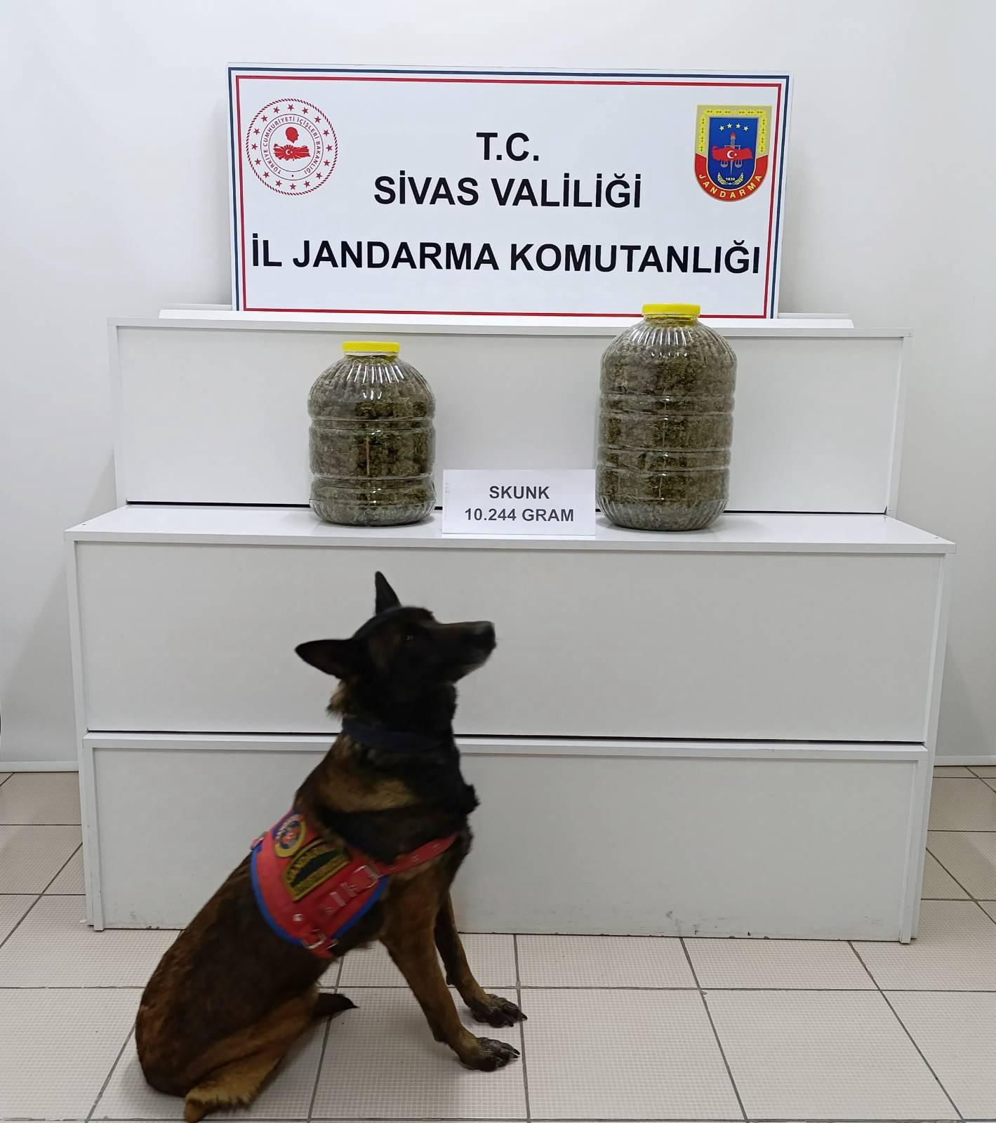 Yolcu otobüsünde uyuşturucu operasyonu