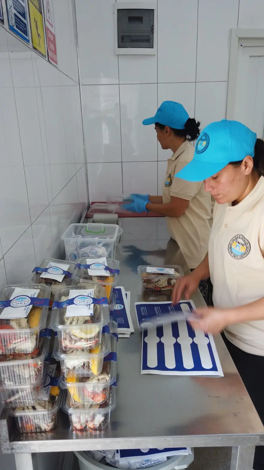 Balıkçıların 'korkulu rüyası' mavi yengeç, turistlerin gözdesi 5