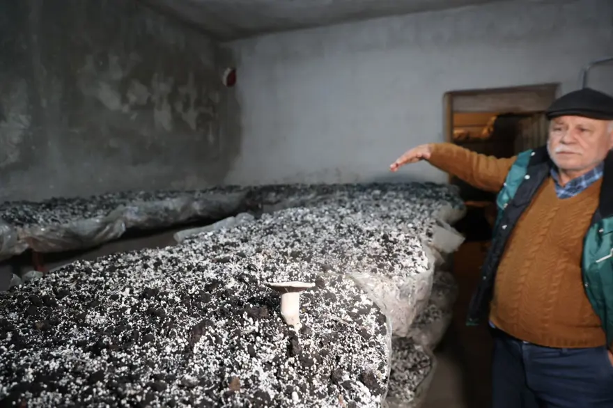 EŞİNE TAM DESTEK 5