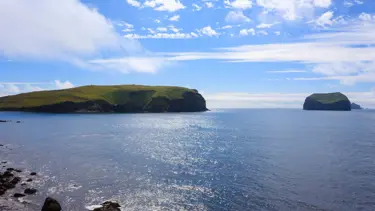 60 yıl önce doğan ada, tabiatın kendini nasıl onardığının kanıtı oldu