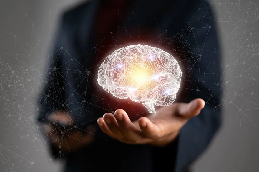 UYKU: BEYNİN SIFIRLAMA DÜĞMESİ 2