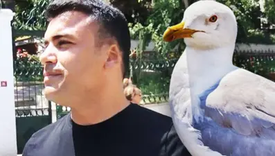 Martının kaptığı kulak davasında karar belli oldu