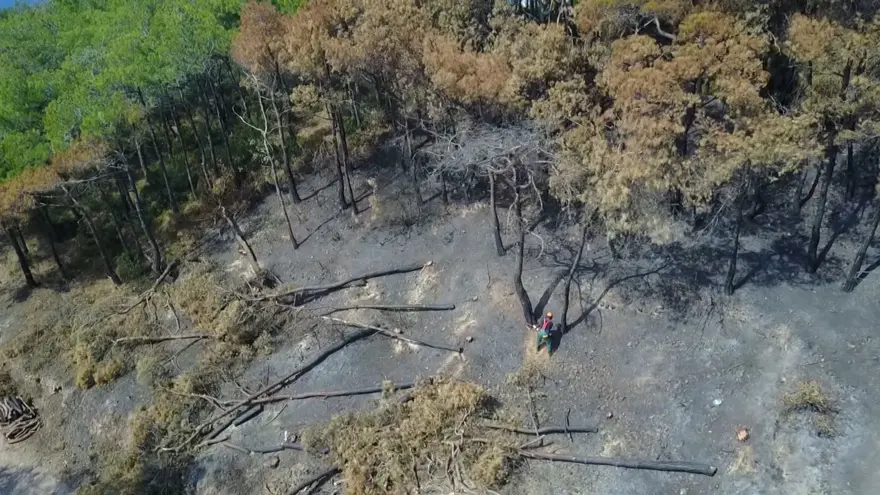 &quot;YANGINDA BİN 700 AĞAÇ ZARAR GÖRDÜ&quot; 7
