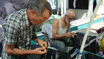 Yasak 1 Eylül'de sona eriyor: "Lüfer senesi olabilir"