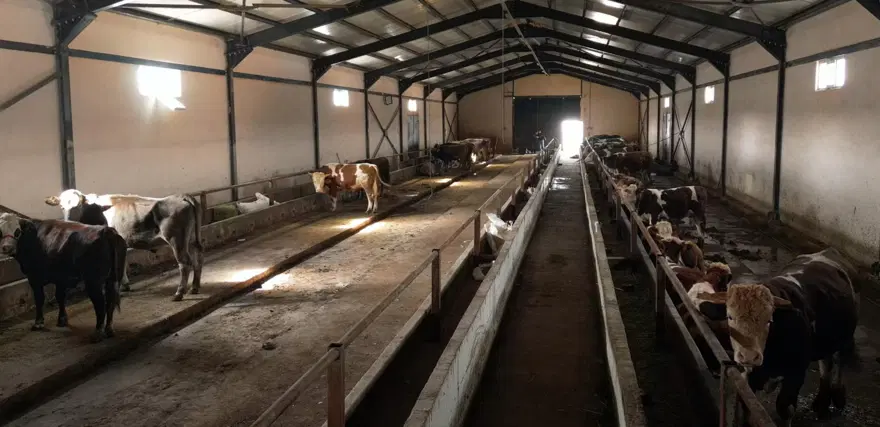 Kurban pazarlarında yeni dönem: Hayvan oteli kuruldu 10 Kurban pazarlarında yeni dönem: Hayvan oteli kuruldu 10